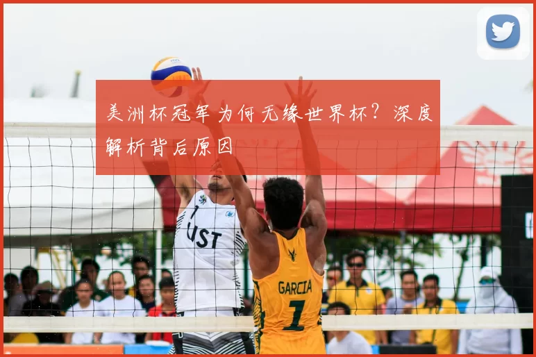 美洲杯冠军为何无缘世界杯?深度解析背后原因