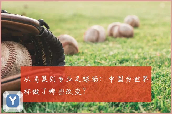 从鸟巢到专业足球场:中国为世界杯做了哪些改变?