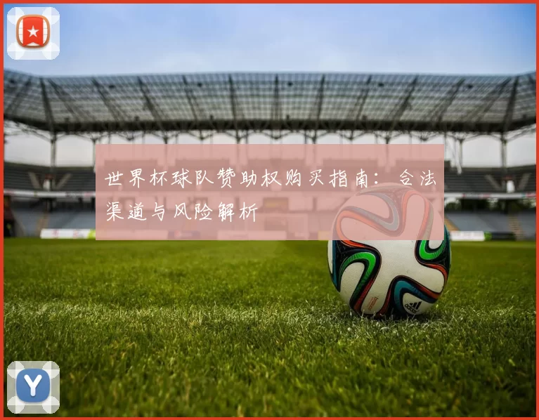 世界杯球队赞助权购买指南:合法渠道与风险解析