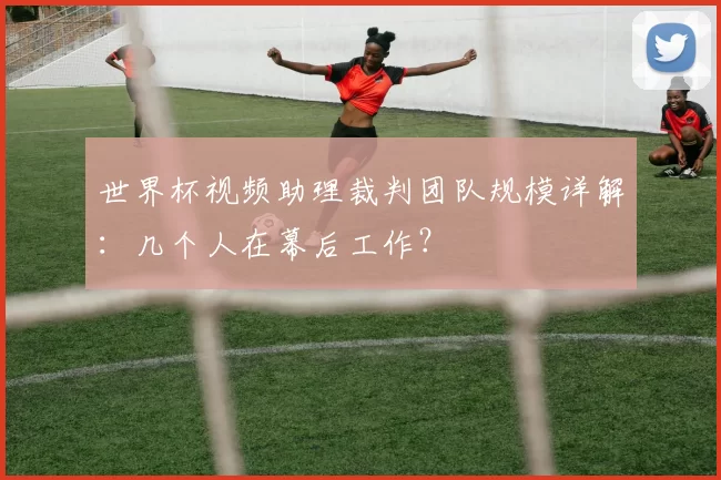 世界杯视频助理裁判团队规模详解:几个人在幕后工作?