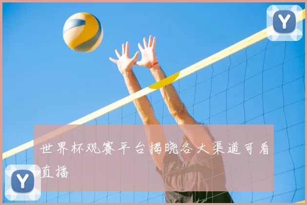 世界杯观赛平台揭晓各大渠道可看直播