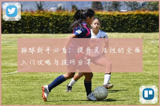 排球新手必看:提升灵活性的全面入门攻略与技巧分享