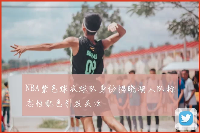 NBA紫色球衣球队身份揭晓湖人队标志性配色引发关注