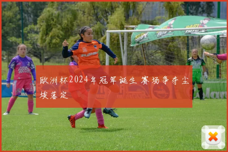 欧洲杯2024年冠军诞生 赛场争夺尘埃落定