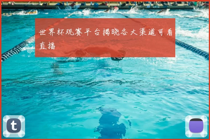 世界杯观赛平台揭晓各大渠道可看直播