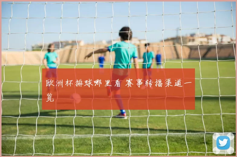 欧洲杯排球哪里看 赛事转播渠道一览