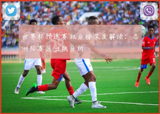 世界杯预选赛积分榜深度解读:各洲际赛区出线分析